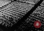 Image of Vietnam war protests North Vietnam, 1964, second 34 stock footage video 65675052360