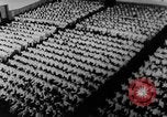 Image of Vietnam war protests North Vietnam, 1964, second 36 stock footage video 65675052360