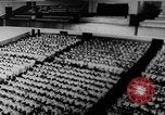 Image of Vietnam war protests North Vietnam, 1964, second 38 stock footage video 65675052360