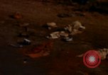 Standbild UH-1B Hubschrauber Saigon Vietnam, 1967, aus Sekunde 24 historischem Filmmaterial Videoclip 65675052368