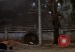 Standbild USA Soldaten Saigon Vietnam, 1968, aus Sekunde 39 historischem Filmmaterial Videoclip 65675052369