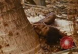 Image of United States troops Saigon Vietnam, 1968, second 9 stock footage video 65675052376