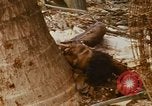 Image of United States troops Saigon Vietnam, 1968, second 10 stock footage video 65675052376
