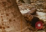 Image of United States troops Saigon Vietnam, 1968, second 11 stock footage video 65675052376
