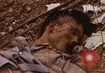 Image of United States troops Saigon Vietnam, 1968, second 40 stock footage video 65675052376