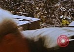 Image les soldats américains à capturé VC complexe tunnel Vietnam, 1968, de la seconde 41 séquences d'archives historiques vidéo 65675052380