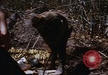 Image les soldats américains à capturé VC complexe tunnel Vietnam, 1968, de la seconde 60 séquences d'archives historiques vidéo 65675052380