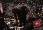 Image les soldats américains à capturé VC complexe tunnel Vietnam, 1968, de la seconde 61 séquences d'archives historiques vidéo 65675052380