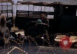 Image of Army of the Republic of Vietnam soldiers Saigon Vietnam, 1968, second 38 stock footage video 65675052386