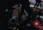 Image of Army of the Republic of Vietnam soldiers Saigon Vietnam, 1968, second 59 stock footage video 65675052386