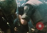 Image Chasseurs à réaction McDonald Douglas F4 Phantom Khe Sanh Vietnam, 1968, de la seconde 53 séquences d'archives historiques vidéo 65675052393