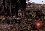 Standbild marines von L Unternehmen Hue Vietnam, 1968, aus Sekunde 52 historischem Filmmaterial Videoclip 65675052396