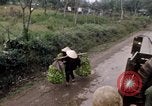 Image of marines Hue Vietnam, 1968, second 44 stock footage video 65675052400