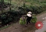 Image of marines Hue Vietnam, 1968, second 45 stock footage video 65675052400