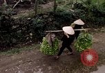 Image of marines Hue Vietnam, 1968, second 46 stock footage video 65675052400