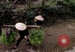 Image of marines Hue Vietnam, 1968, second 47 stock footage video 65675052400
