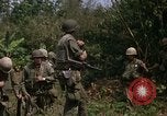 Standbild H Firma 2nd Battalion 5th Marines 1 Division Hue Vietnam, 1968, aus Sekunde 12 historischem Filmmaterial Videoclip 65675052402