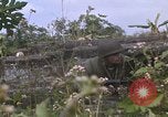 Standbild H Firma 2nd Battalion 5th Marines 1 Division Hue Vietnam, 1968, aus Sekunde 19 historischem Filmmaterial Videoclip 65675052402