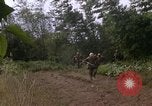 Standbild H Firma 2nd Battalion 5th Marines 1 Division Hue Vietnam, 1968, aus Sekunde 52 historischem Filmmaterial Videoclip 65675052402