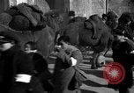 Image étudiants chinois Chine, 1931, de la seconde 46 séquences d'archives historiques vidéo 65675052431