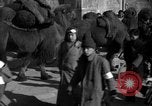 Image étudiants chinois Chine, 1931, de la seconde 48 séquences d'archives historiques vidéo 65675052431