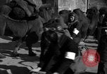 Image étudiants chinois Chine, 1931, de la seconde 49 séquences d'archives historiques vidéo 65675052431
