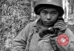 Immagine di Japanese-American 442nd Fanteria Francia, 1944, secondo 11 filmato di repertorio 65675052439