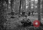 Immagine di Japanese-American 442nd Fanteria Francia, 1944, secondo 15 filmato di repertorio 65675052439