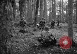 Immagine di Japanese-American 442nd Fanteria Francia, 1944, secondo 16 filmato di repertorio 65675052439