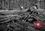 Immagine di Japanese-American 442nd Fanteria Francia, 1944, secondo 17 filmato di repertorio 65675052439