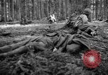 Immagine di Japanese-American 442nd Fanteria Francia, 1944, secondo 18 filmato di repertorio 65675052439