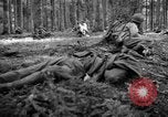 Immagine di Japanese-American 442nd Fanteria Francia, 1944, secondo 19 filmato di repertorio 65675052439