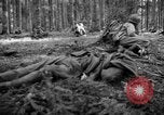 Immagine di Japanese-American 442nd Fanteria Francia, 1944, secondo 20 filmato di repertorio 65675052439