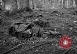 Immagine di Japanese-American 442nd Fanteria Francia, 1944, secondo 25 filmato di repertorio 65675052439