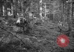 Immagine di Japanese-American 442nd Fanteria Francia, 1944, secondo 46 filmato di repertorio 65675052439