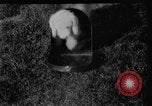 Image of President Warren G Harding Washington DC USA, 1921, second 41 stock footage video 65675052454