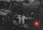 Standbild Segelboote Kanton China, 1937, aus Sekunde 52 historischem Filmmaterial Videoclip 65675052468
