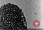 Image of British infantry soldiers firing artillery World War 1 Europe, 1916, second 14 stock footage video 65675052474