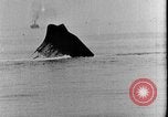 Standbild Untergang ein herrenloses Schiff United States USA, 1905, aus Sekunde 46 historischem Filmmaterial Videoclip 65675052476