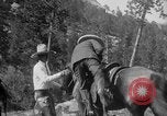 Immagine di Presidente Calvin Coolidge a Mount Rushmore Black Hills South Dakota USA, 1927, secondo 52 filmato di repertorio 65675052493