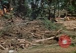 Standbild Suche Team Rapid City South Dakota USA, 1972, aus Sekunde 24 historischem Filmmaterial Videoclip 65675052502