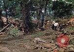 Standbild Suche Team Rapid City South Dakota USA, 1972, aus Sekunde 29 historischem Filmmaterial Videoclip 65675052502