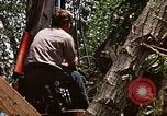 Standbild Kran Rapid City South Dakota USA, 1972, aus Sekunde 19 historischem Filmmaterial Videoclip 65675052503