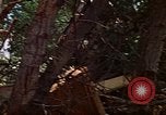 Standbild Kran Rapid City South Dakota USA, 1972, aus Sekunde 21 historischem Filmmaterial Videoclip 65675052503