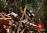 Standbild Kran Rapid City South Dakota USA, 1972, aus Sekunde 24 historischem Filmmaterial Videoclip 65675052503