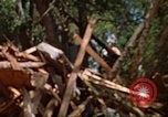 Standbild Kran Rapid City South Dakota USA, 1972, aus Sekunde 25 historischem Filmmaterial Videoclip 65675052503