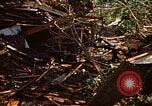 Standbild Kran Rapid City South Dakota USA, 1972, aus Sekunde 29 historischem Filmmaterial Videoclip 65675052503