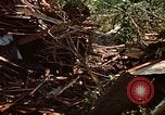 Standbild Kran Rapid City South Dakota USA, 1972, aus Sekunde 31 historischem Filmmaterial Videoclip 65675052503