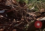 Standbild Kran Rapid City South Dakota USA, 1972, aus Sekunde 34 historischem Filmmaterial Videoclip 65675052503