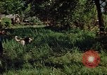 Image of State policeman Rapid City South Dakota USA, 1972, second 30 stock footage video 65675052514